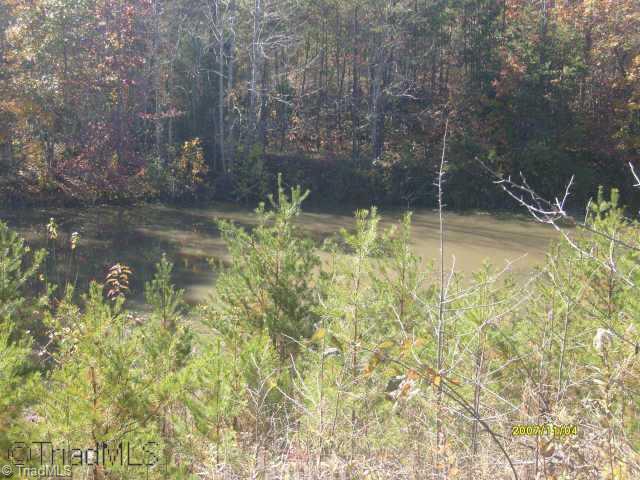 0 Inman Road Mount Airy, NC 27030 - Photo 5 of 9 Other. spring fed pond