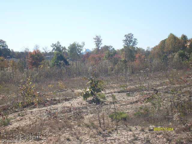 0 Inman Road Mount Airy, NC 27030 - Photo 8 of 9 Other. view of pilot knob from one site on property
