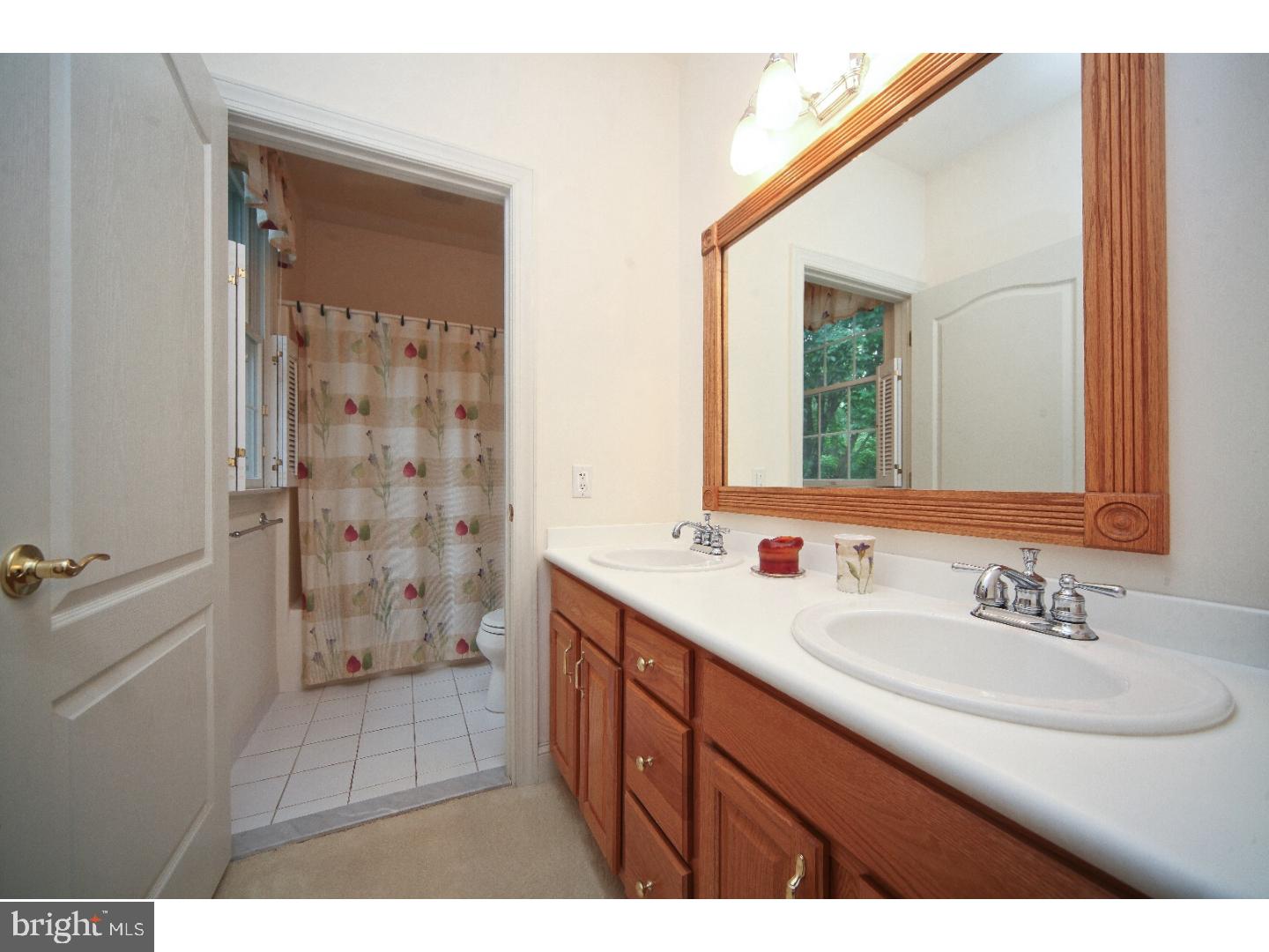 17 Wulaton Road Kintnersville, PA 18930 - Photo 17 of 25 Bathroom