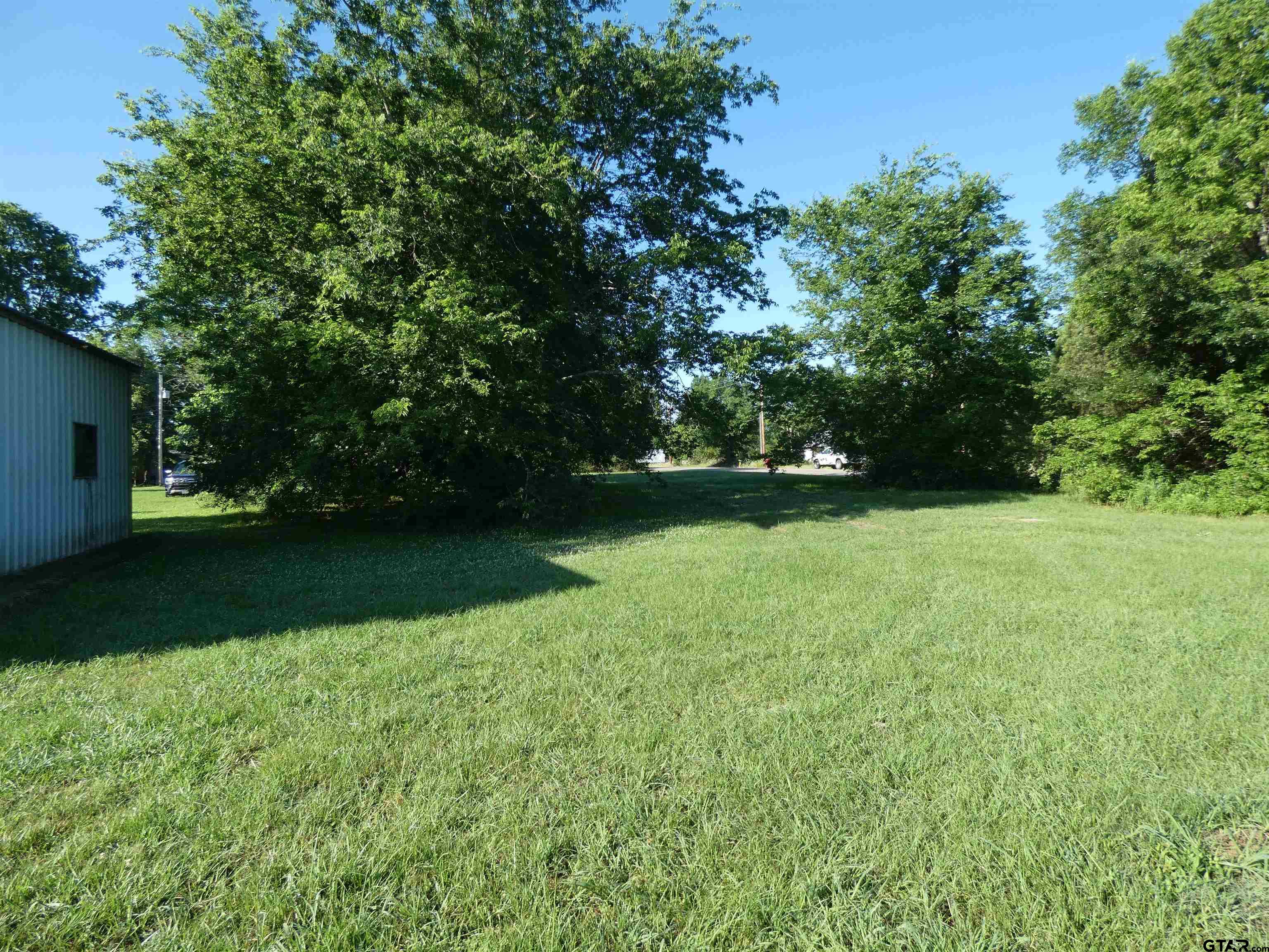 Tbd Tbd Wilson Talco, TX 75487 - Photo 5 of 8 a view of a green yard