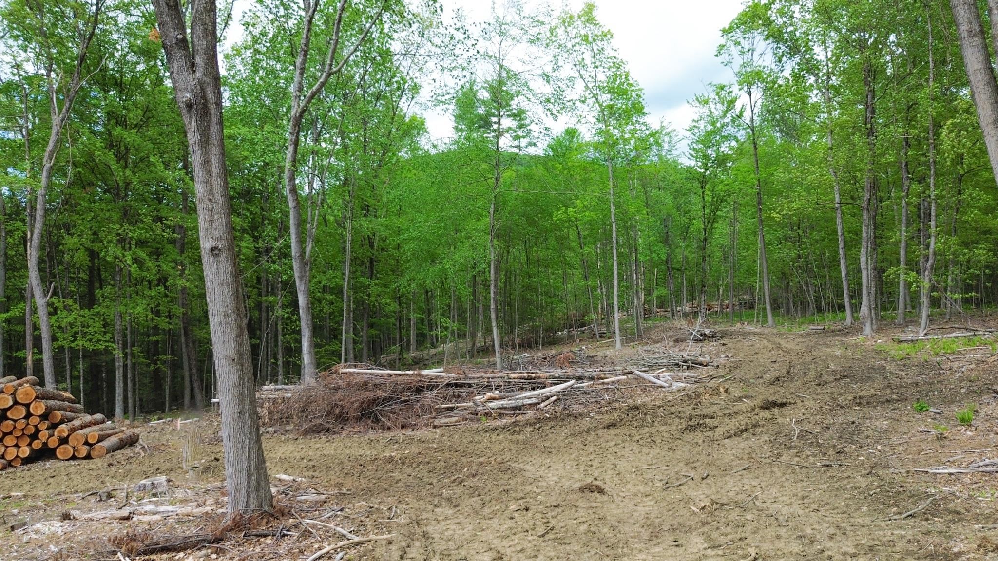 Lot 26-4 Plain Road Hinsdale, NH 03451 - Photo 10 of 28