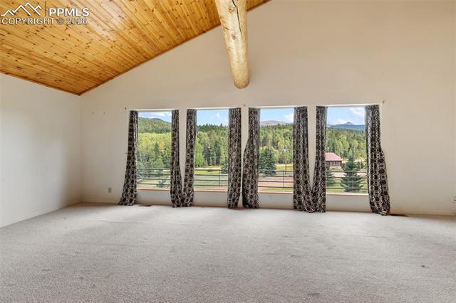 50 Worley Road Divide, CO 80814 - Photo 27 of 47 Gallery Image 27