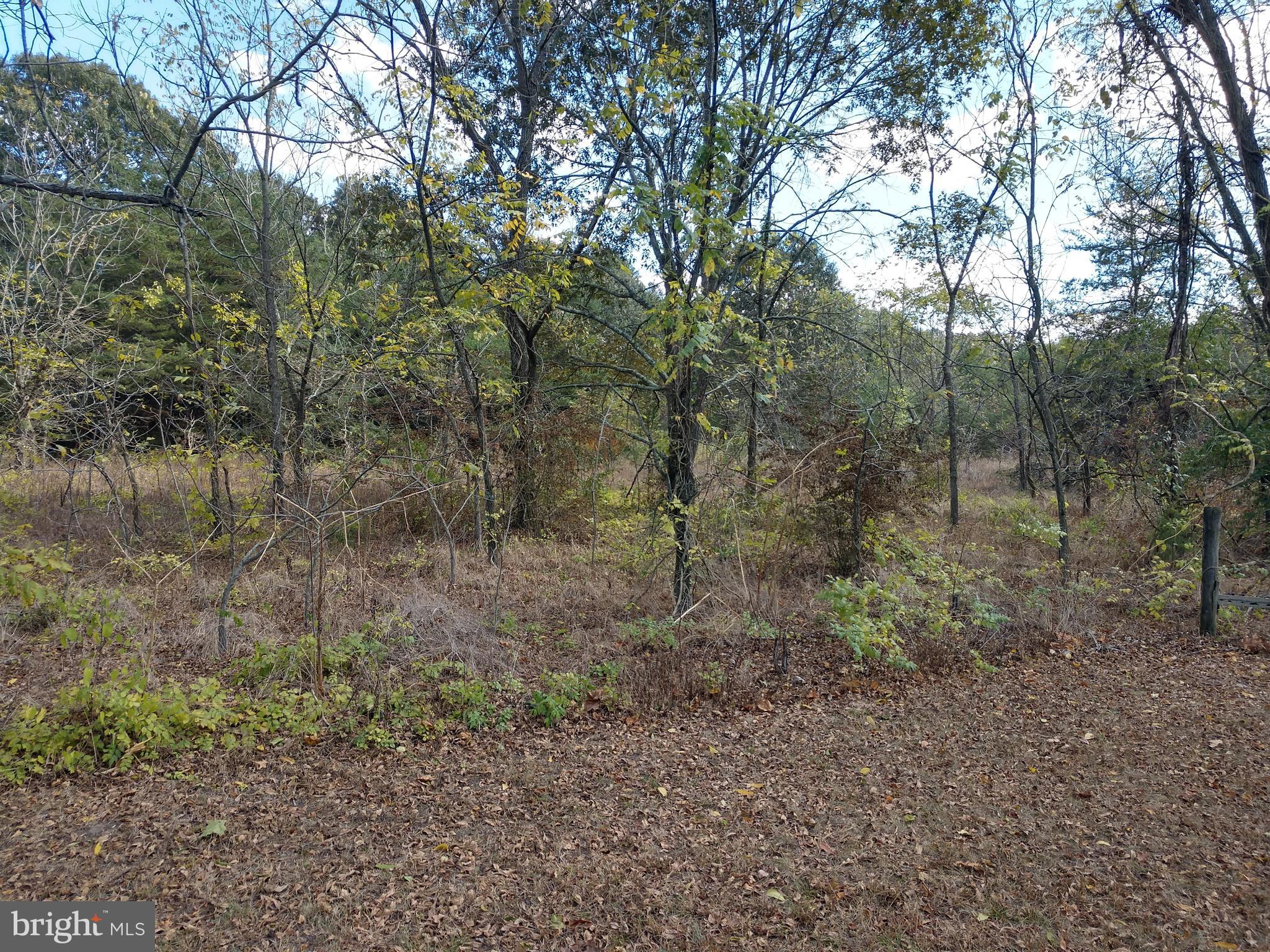 0 Smith Landing Road Denton, MD 21629 - Photo 1 of 11