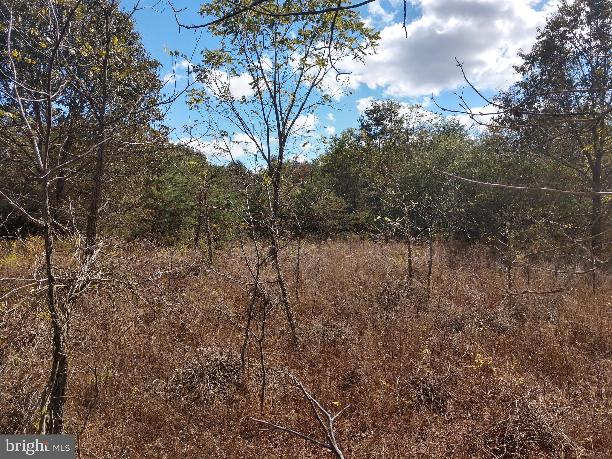 0 Smith Landing Road Denton, MD 21629 - Photo 2 of 11