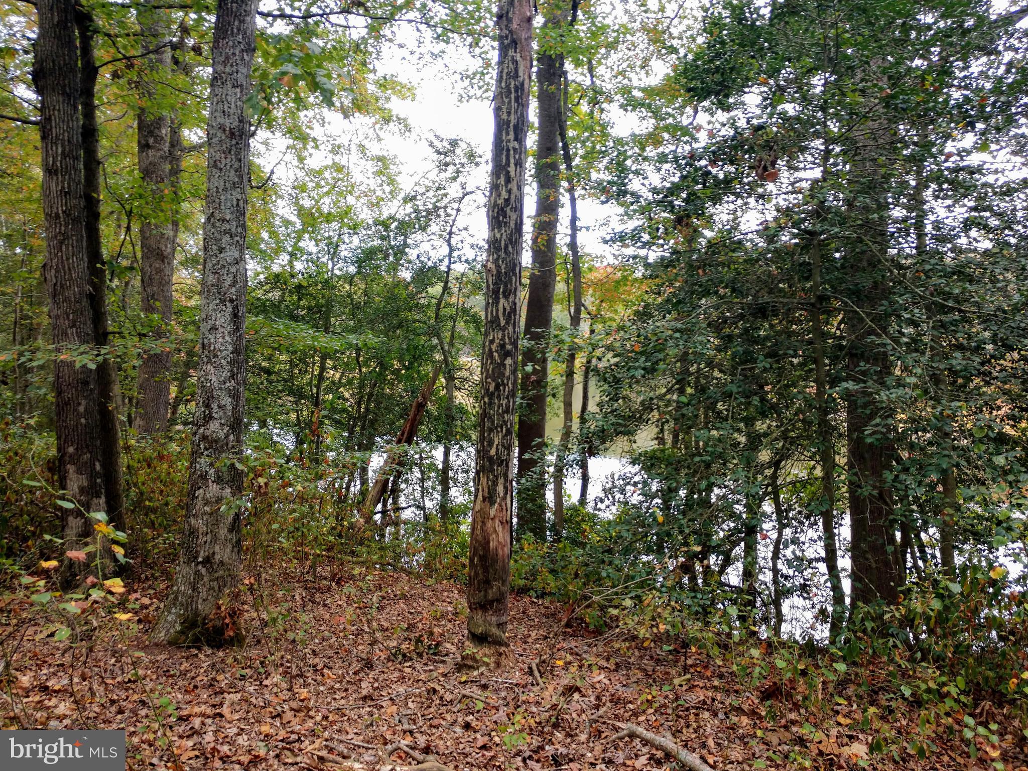 0 Smith Landing Road Denton, MD 21629 - Photo 8 of 11