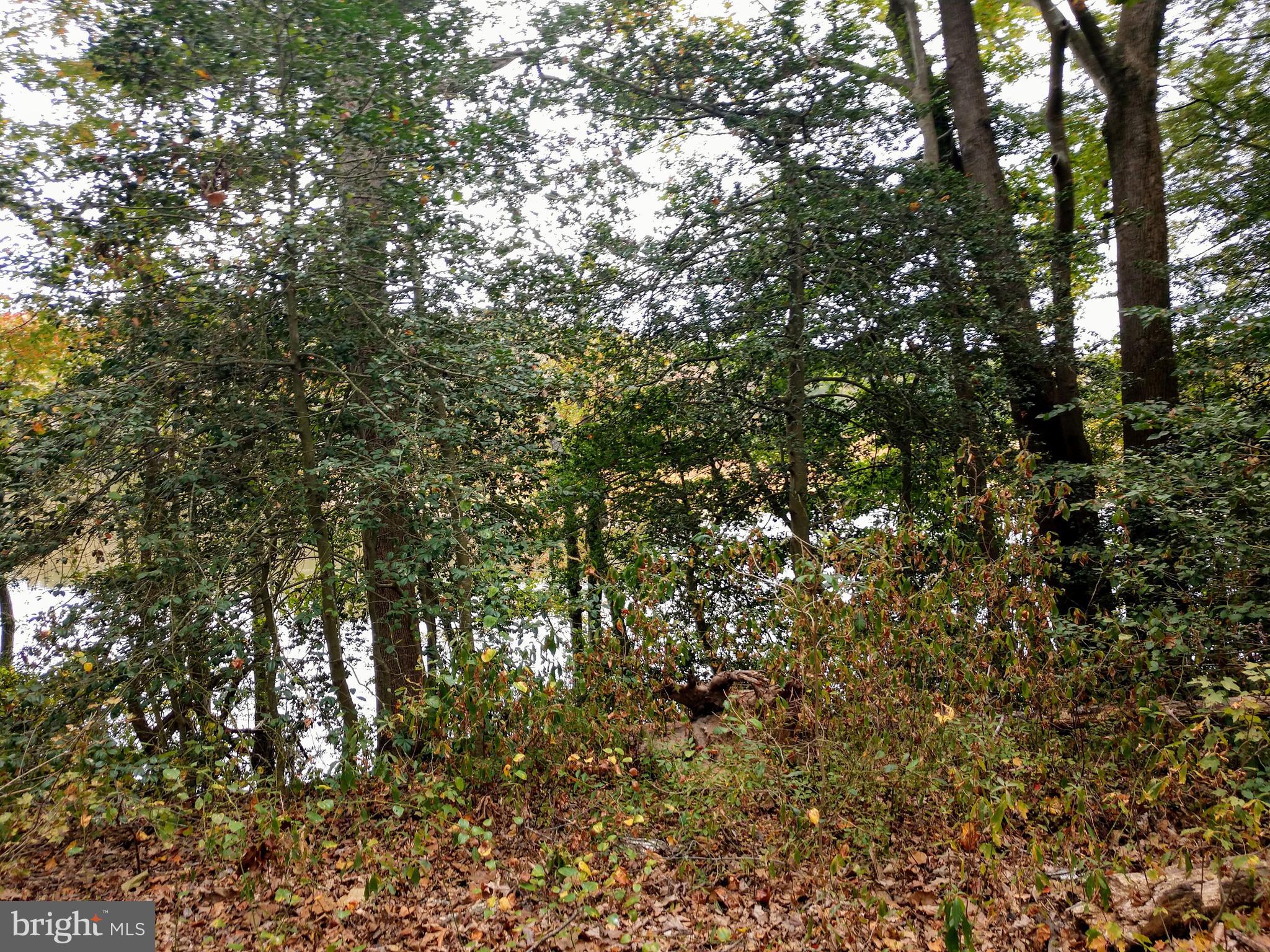 0 Smith Landing Road Denton, MD 21629 - Photo 10 of 11