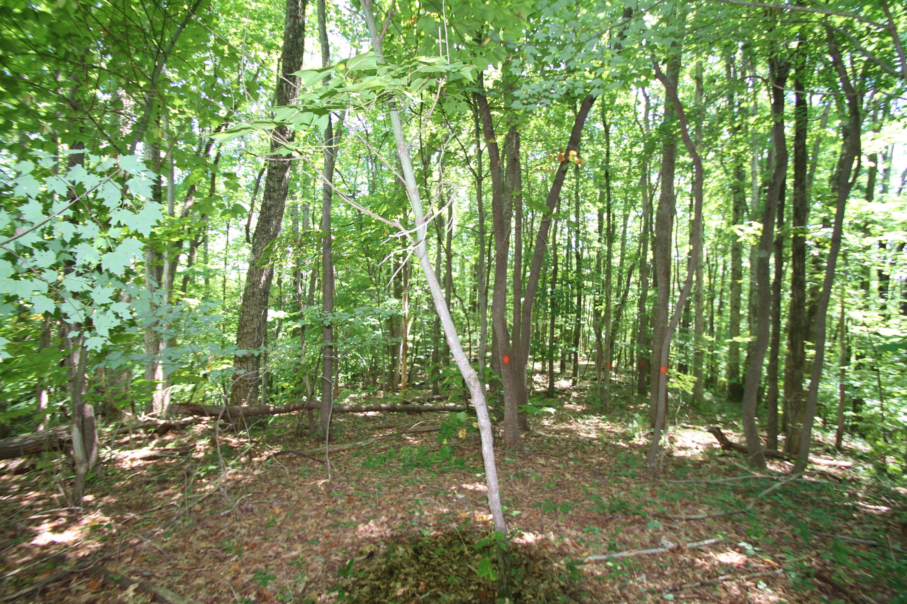 Lot 46 South Ridge Lane Ballard, WV 24918 - Photo 6 of 12 Gallery Image 6