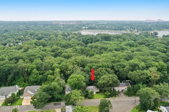 an aerial view of green landscape with trees houses and mountain view