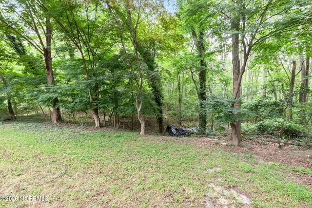a green field with trees in the background