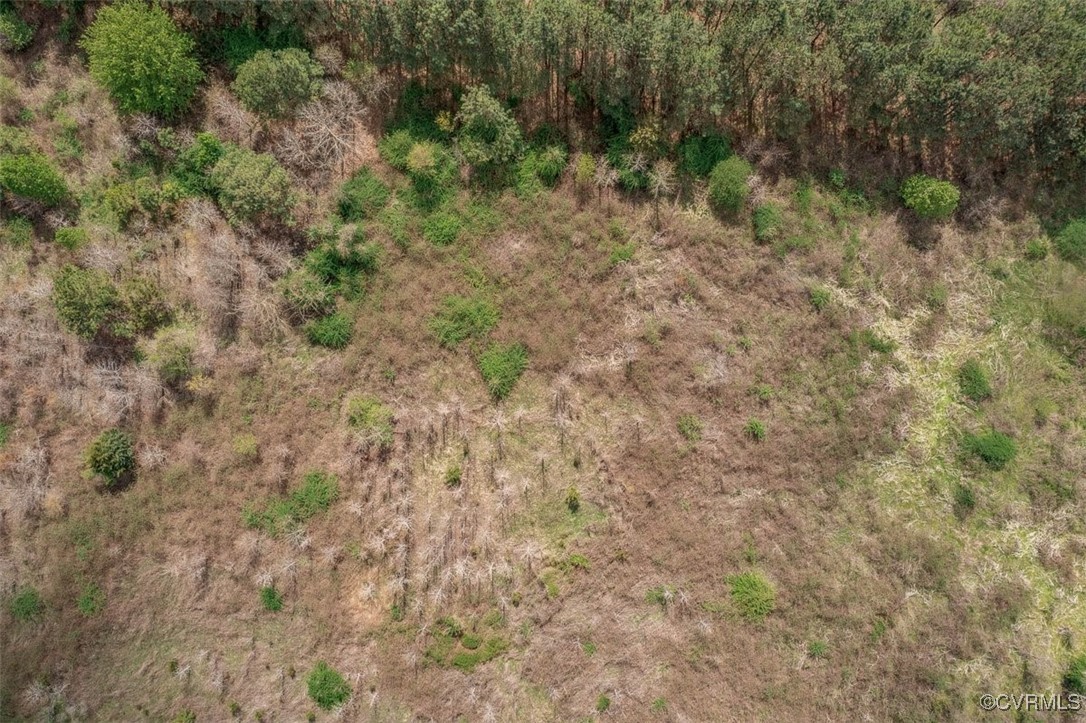 8401 County Drive Disputanta, VA 23842 - Photo 10 of 15 Birds eye view of property