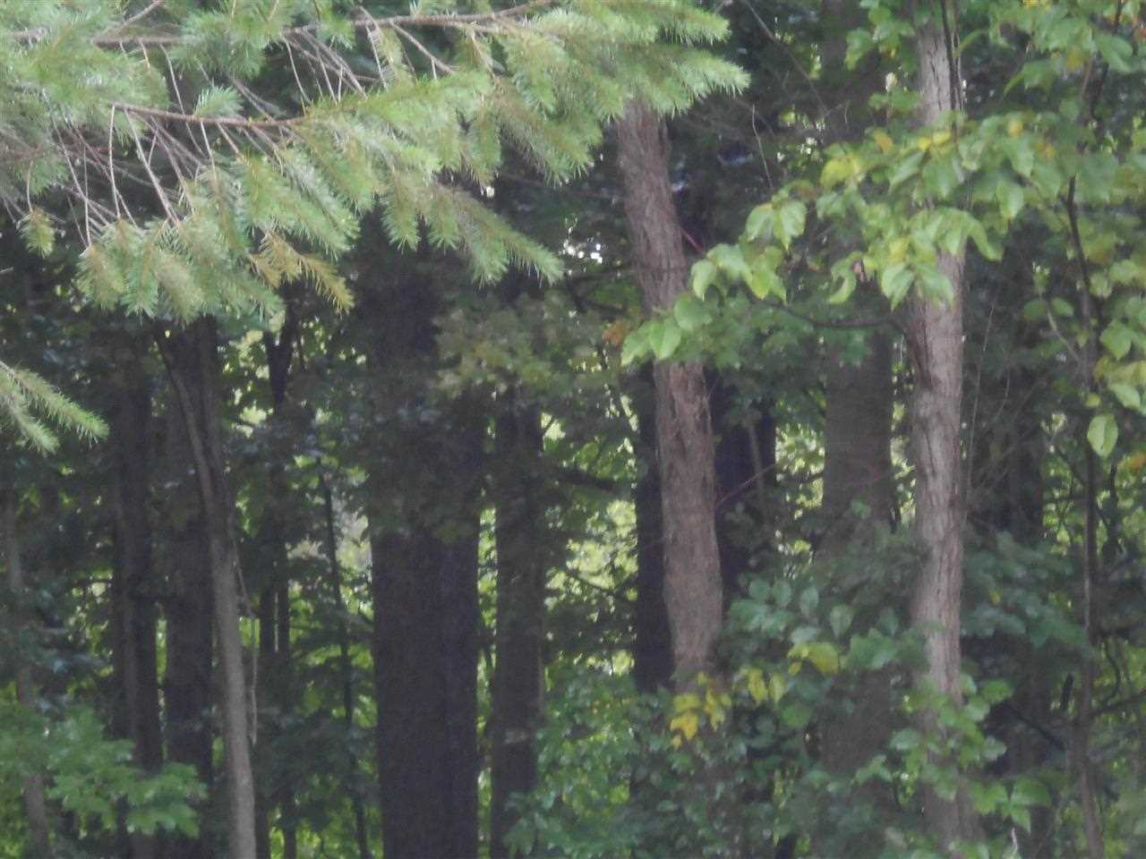 0 Devils Hollow Road Fort Wayne, IN 46814 - Photo 1 of 2