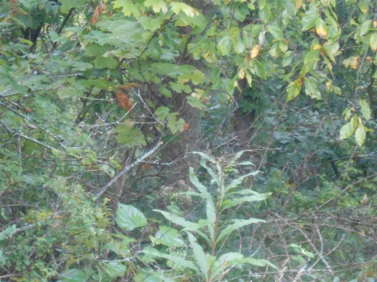 0 Devils Hollow Road Fort Wayne, IN 46814 - Photo 2 of 2