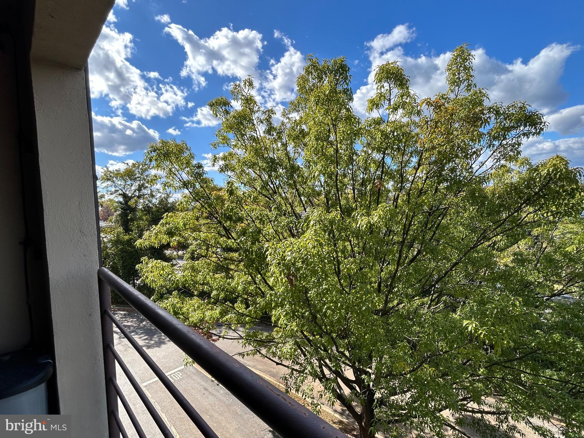 1040 Deer Ridge Drive, Unit 304 Baltimore, MD 21210 - Photo 33 of 43