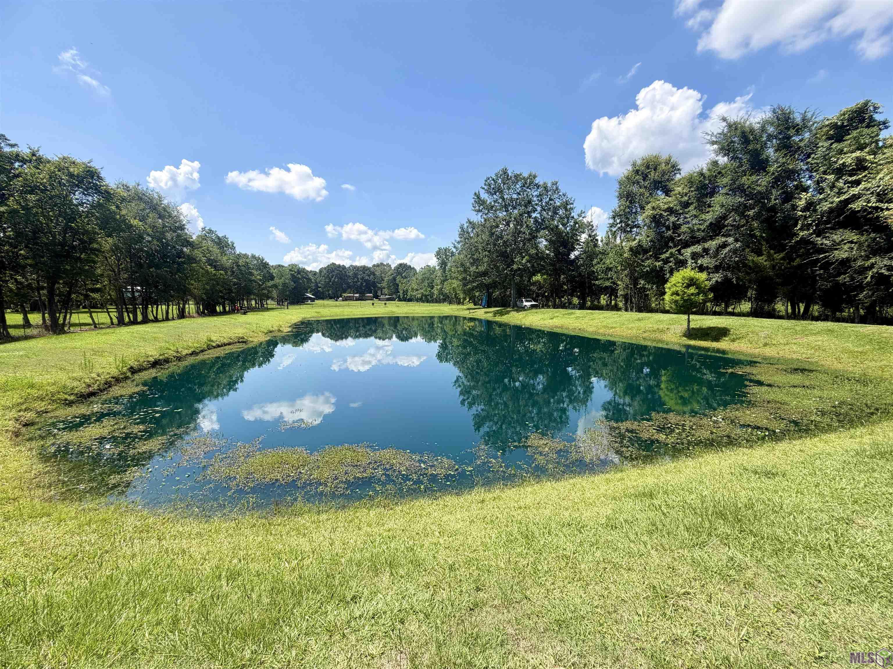24632 Brian Road Zachary, LA 70791 - Photo 6 of 35