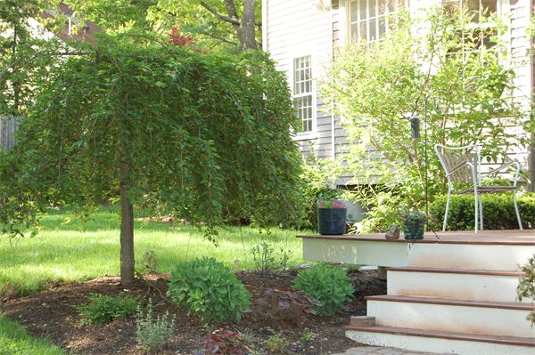 63 Garfield Road Concord, MA 01742 - Photo 12 of 16 Gallery Image 12