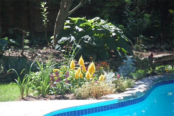 63 Garfield Road Concord, MA 01742 - Photo 15 of 16 Gallery Image 15