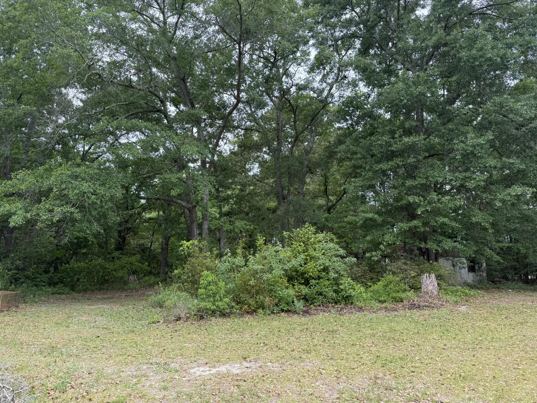 480 Hidden Acres Road Cordova, SC 29039 - Photo 20 of 20 IMG_1502