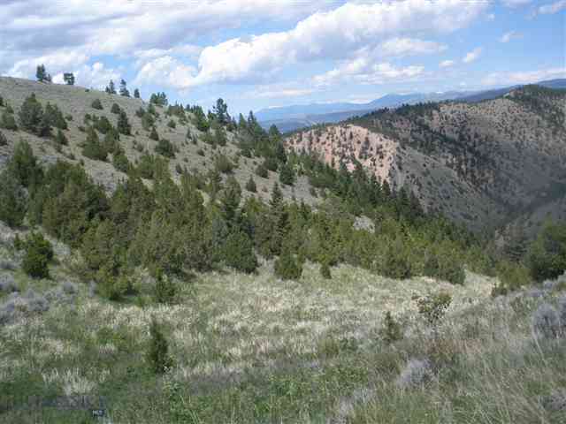 384 Pole Gulch Road Three Forks, MT 59752 - Photo 1 of 1 Gallery Image 1