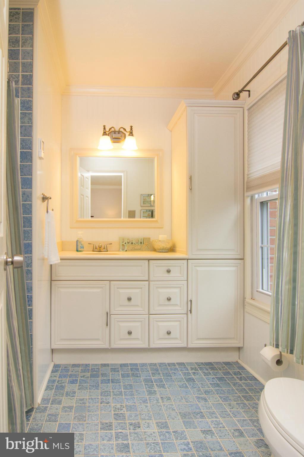 2405 Cape Horn Road Hampstead, MD 21074 - Photo 13 of 26 Bath (Master)