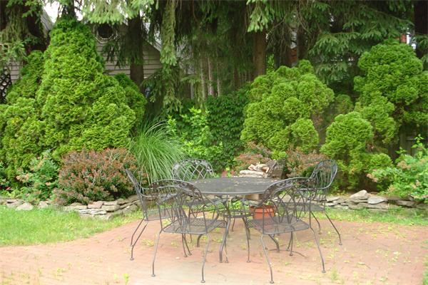 43 Kingston Road Newton, MA 02461 - Photo 7 of 18