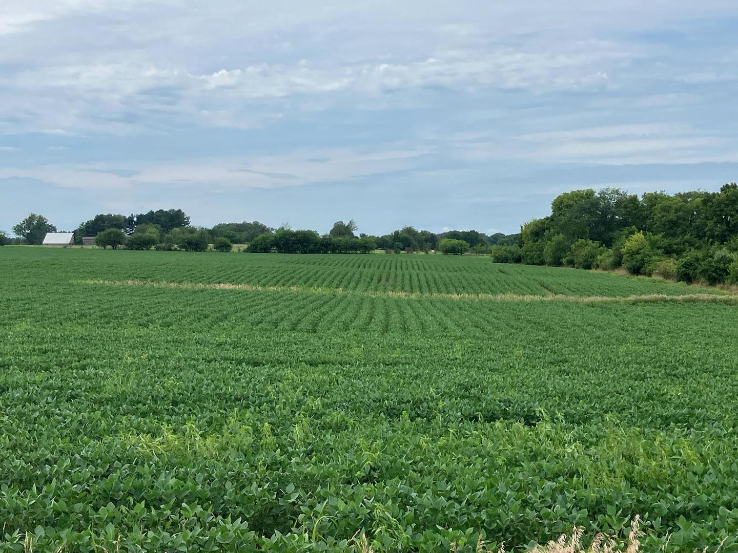0 Butternut Road Oregon, IL 61061 - Photo 8 of 8 a view of a field with an trees in the background