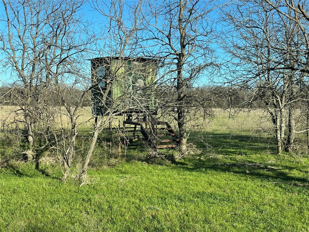 3141 Rogers Road Jacksboro, TX 76458 - Photo 13 of 40 a view of a garden
