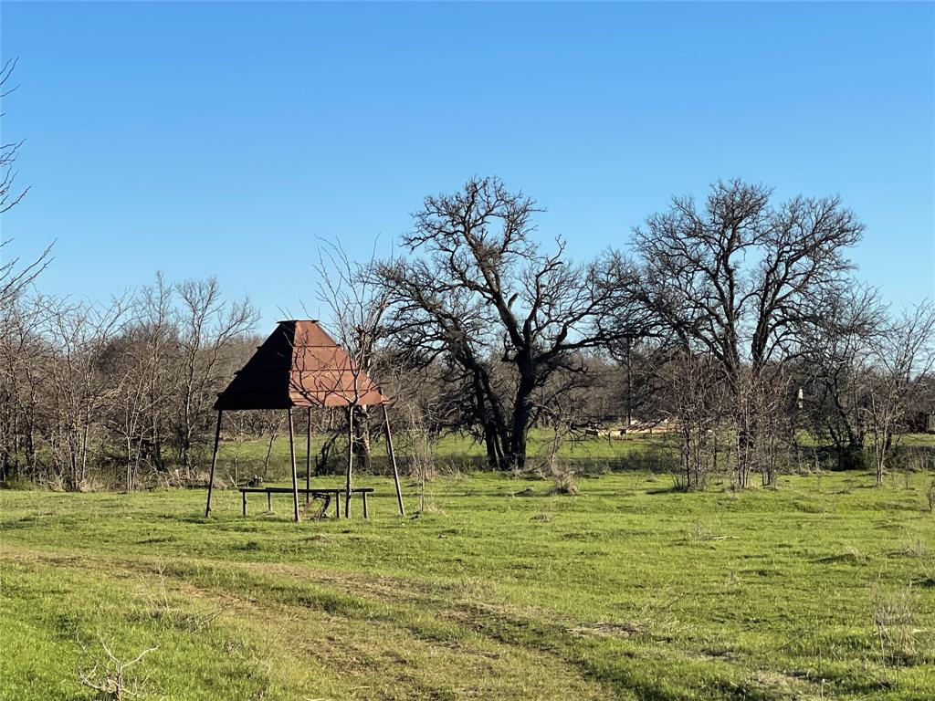 3141 Rogers Road Jacksboro, TX 76458 - Photo 20 of 40 a view of a park with large trees