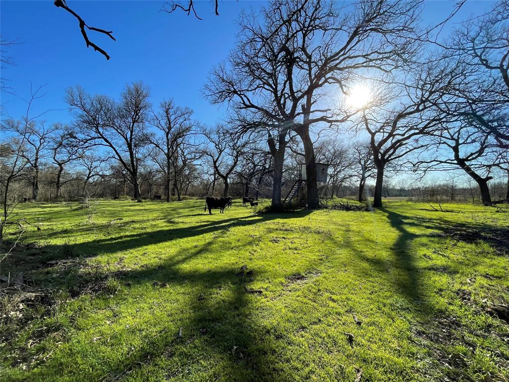 3141 Rogers Road Jacksboro, TX 76458 - Photo 21 of 40 a view of swimming pool with yard and green space