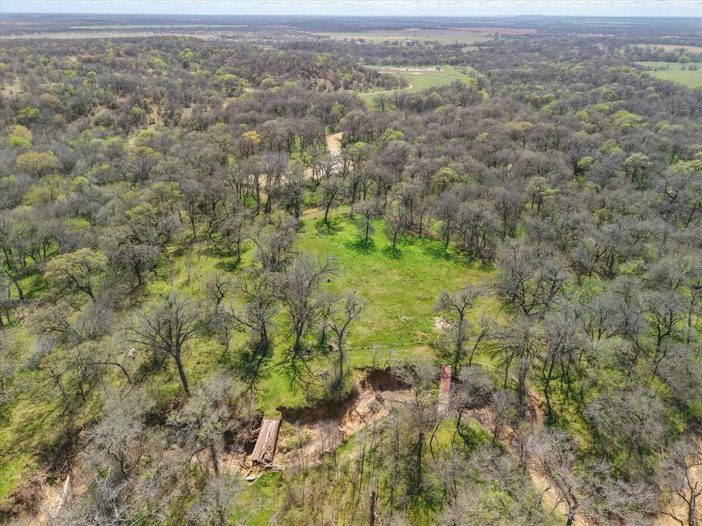 3141 Rogers Road Jacksboro, TX 76458 - Photo 25 of 40