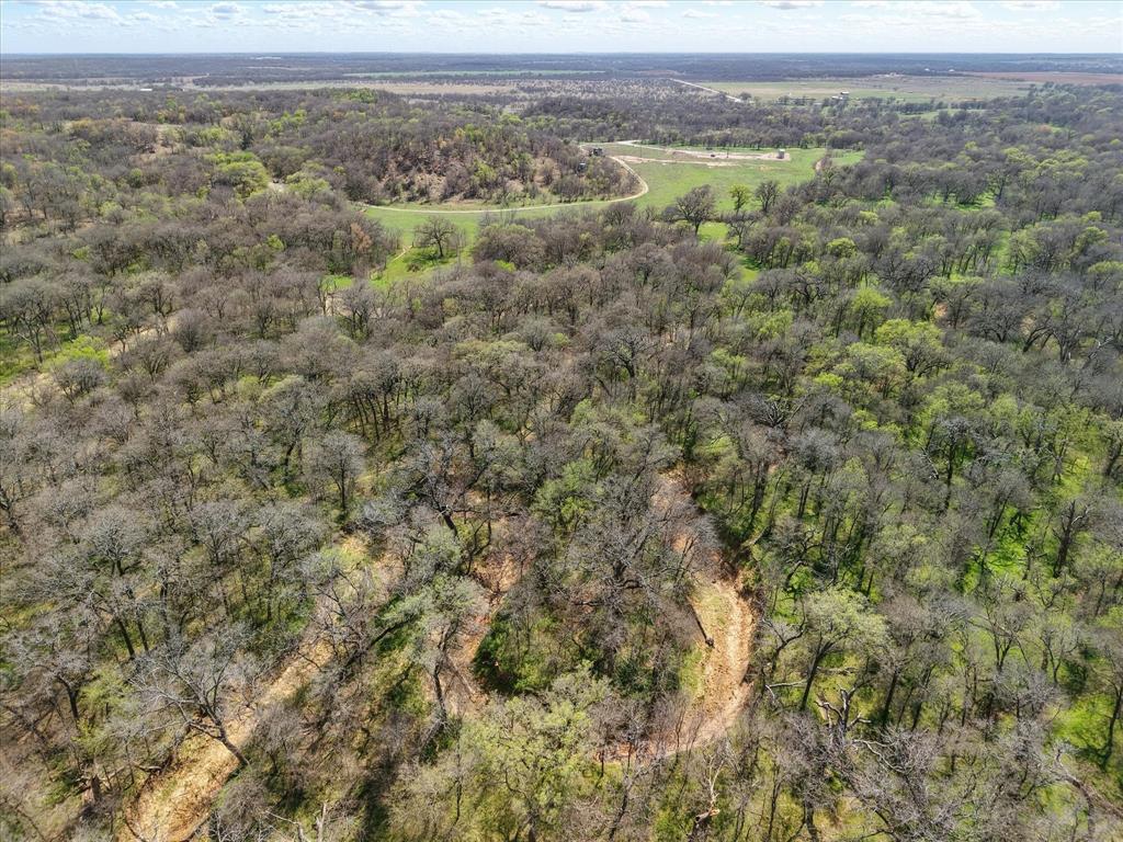 3141 Rogers Road Jacksboro, TX 76458 - Photo 26 of 40 a view of a field with trees in the background