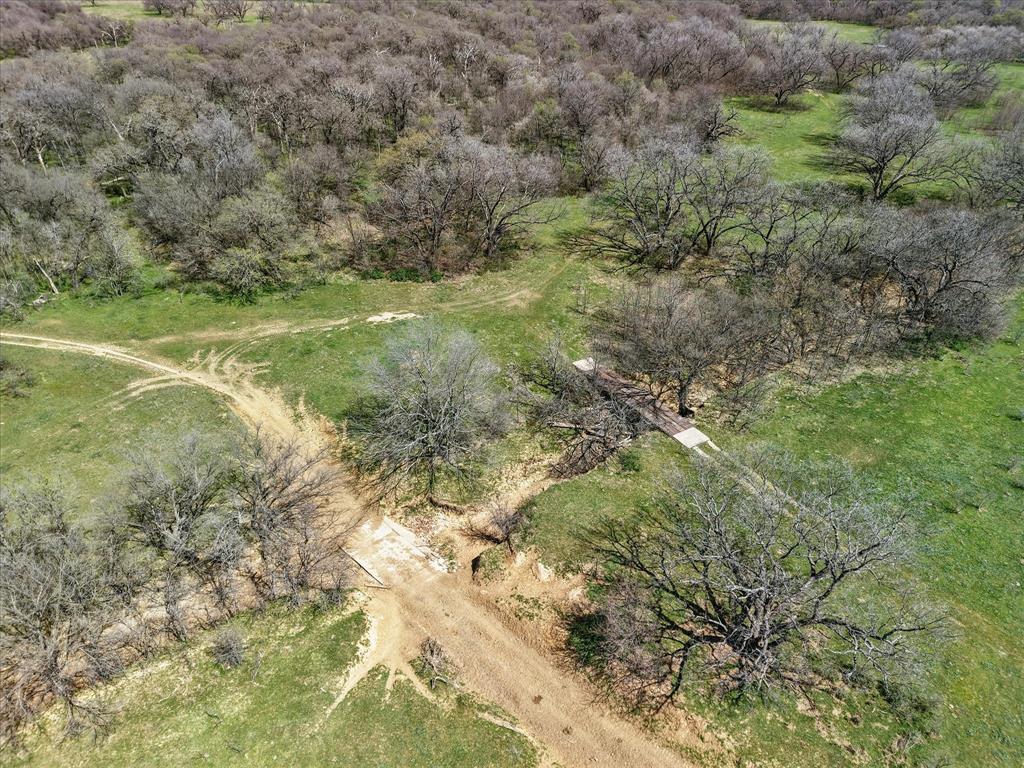 3141 Rogers Road Jacksboro, TX 76458 - Photo 32 of 40 a view of a field with a tree