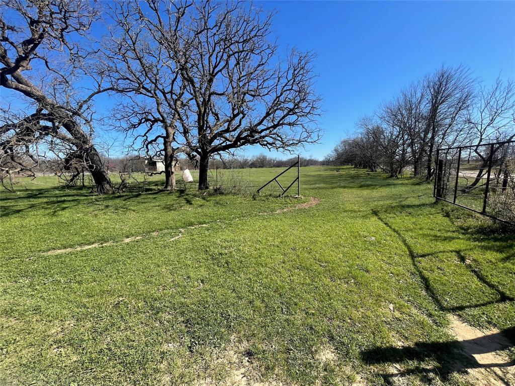 3141 Rogers Road Jacksboro, TX 76458 - Photo 37 of 40 a view of a yard with plants and trees
