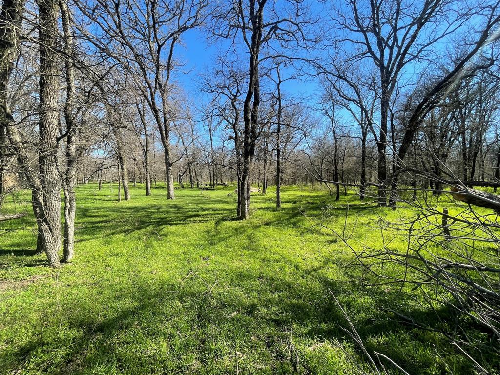 3141 Rogers Road Jacksboro, TX 76458 - Photo 38 of 40 a view of a park with large trees