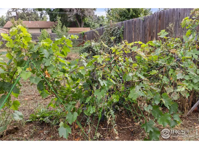 $475,000 | 604 West 9th Street, Loveland, CO 80537