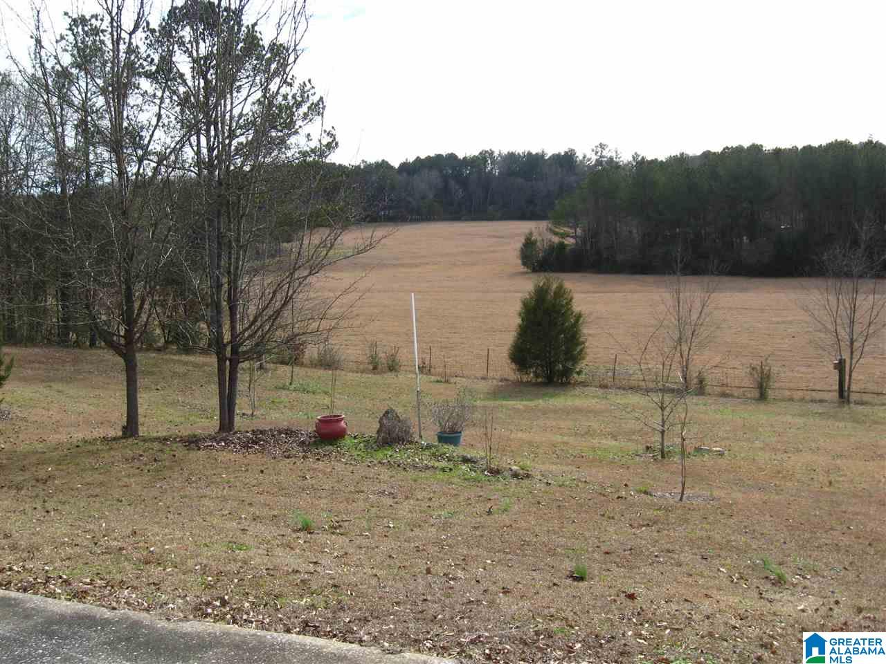 1585 Peaceful Valley Road Eastaboga, AL 36260 - Photo 4 of 6