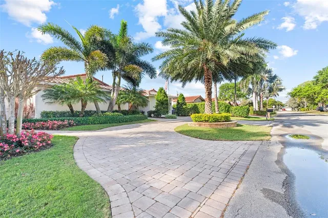 a view of a swimming pool with a garden