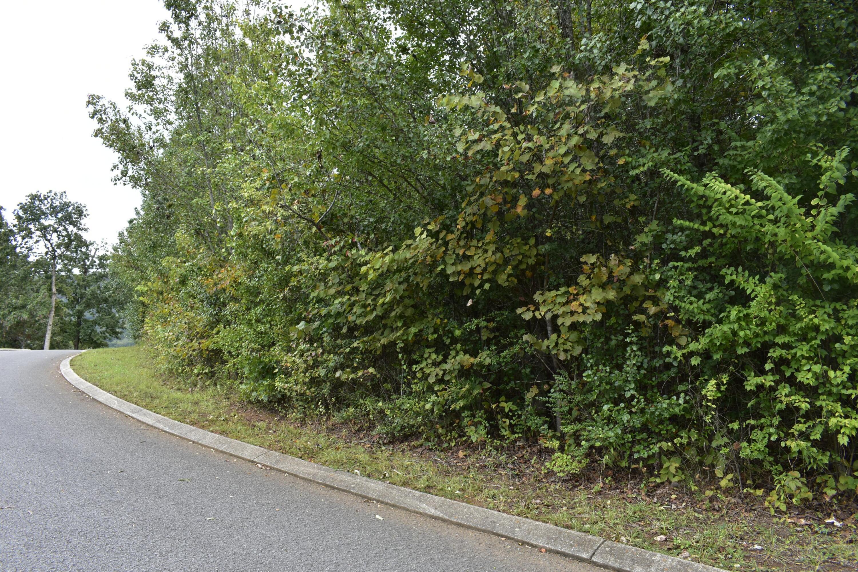 19 Turkey Run Flintstone, GA 30725 - Photo 11 of 28 _DSC0338