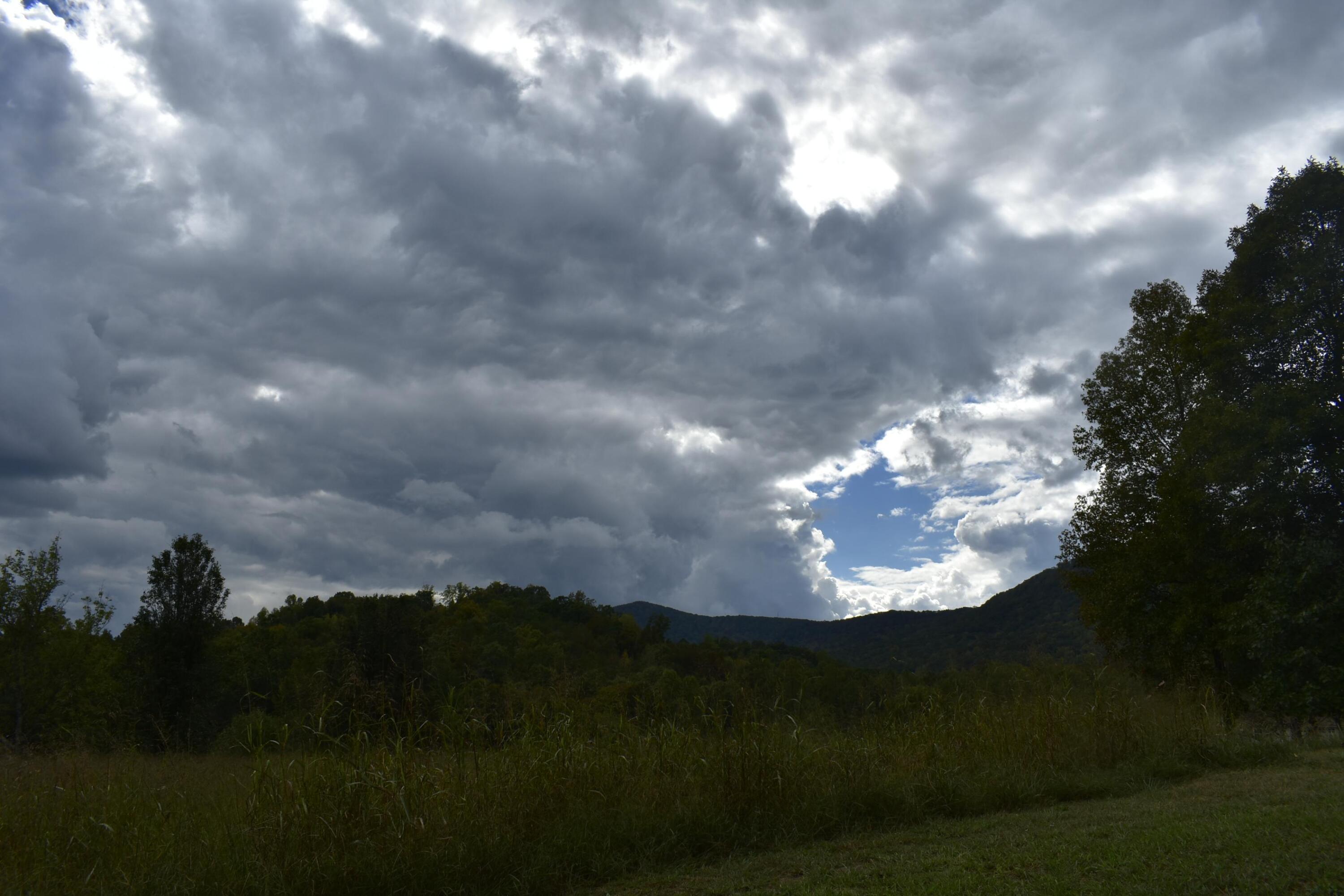 19 Turkey Run Flintstone, GA 30725 - Photo 13 of 28 _DSC0340