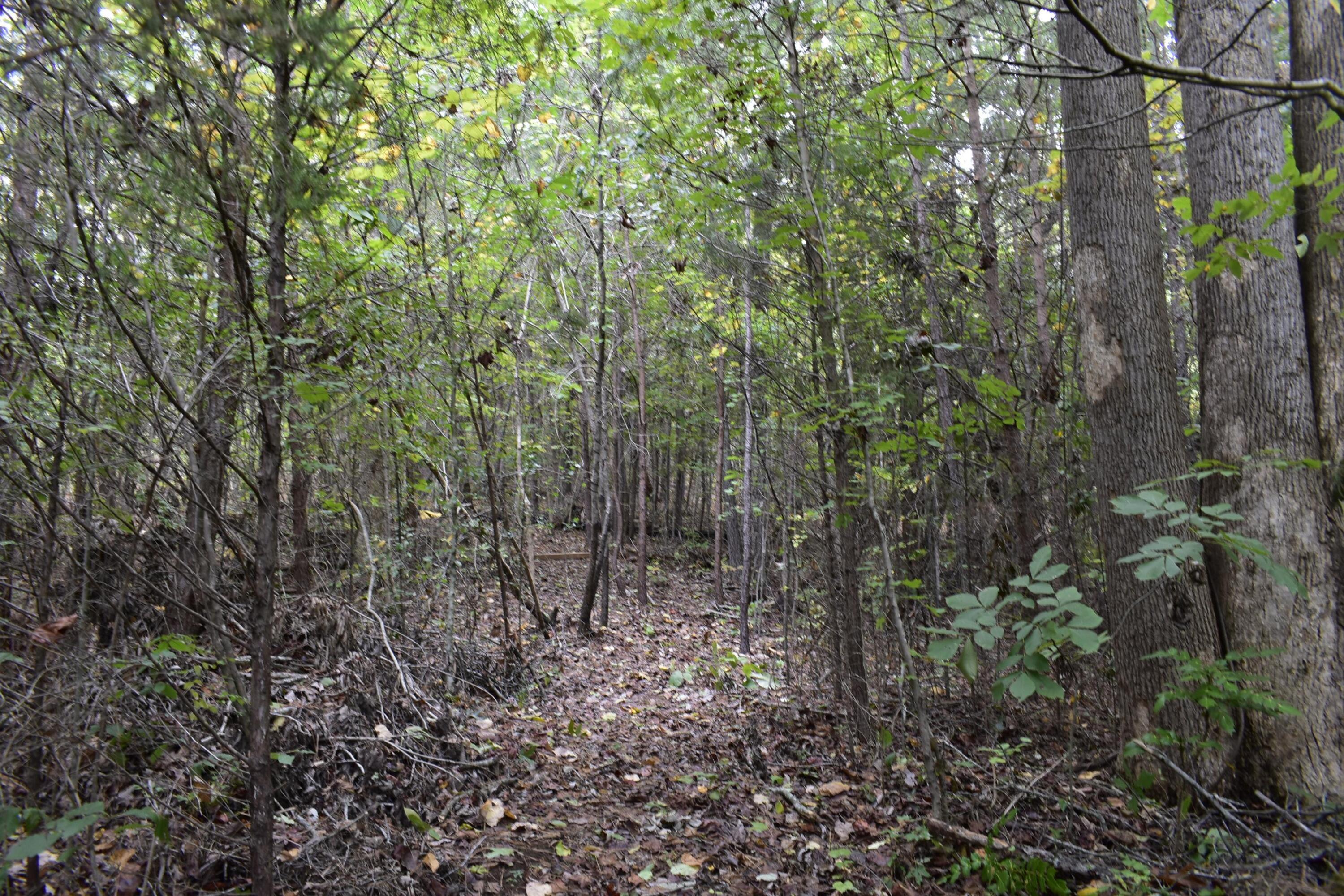 19 Turkey Run Flintstone, GA 30725 - Photo 15 of 28 _DSC0344