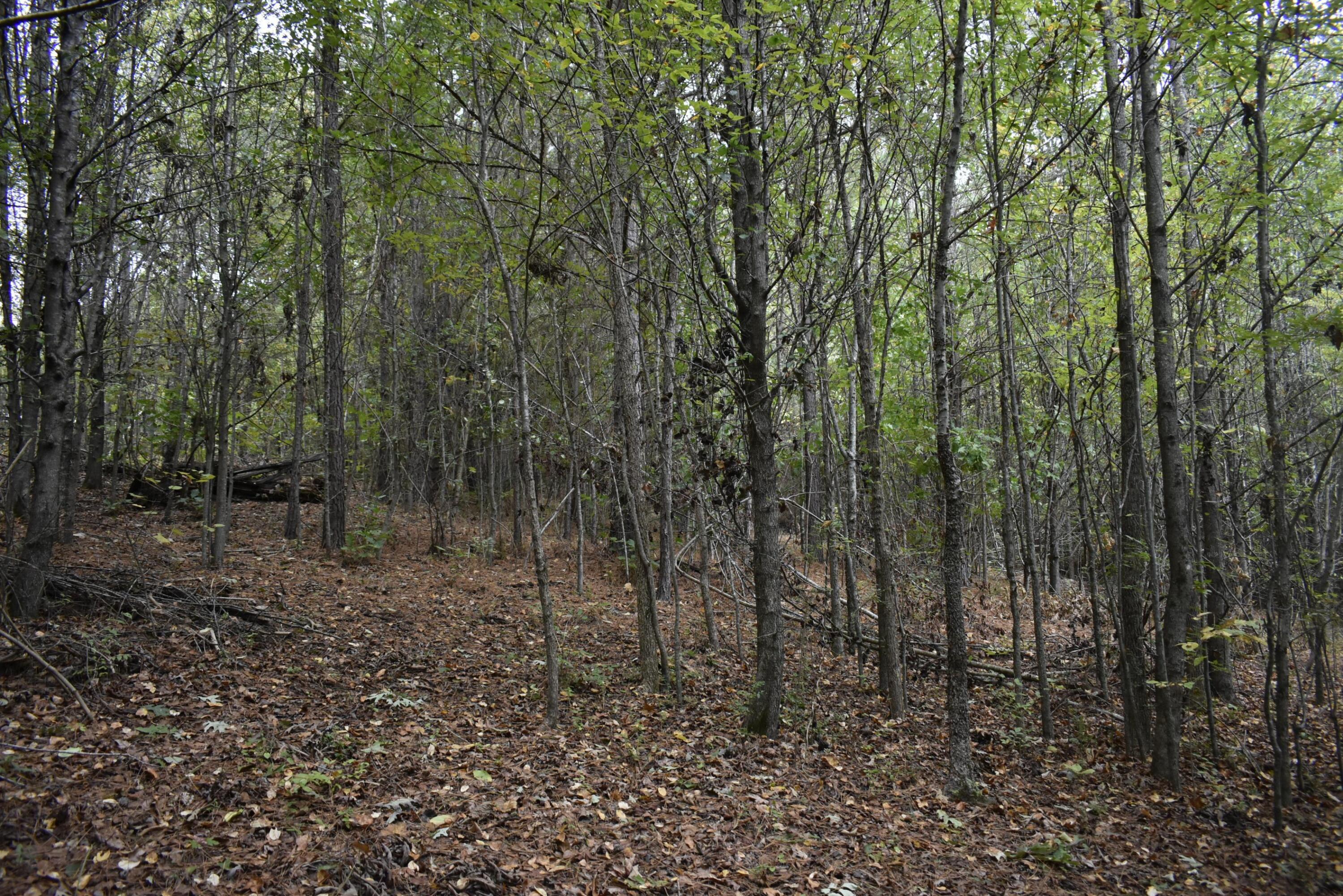 19 Turkey Run Flintstone, GA 30725 - Photo 22 of 28 _DSC0352