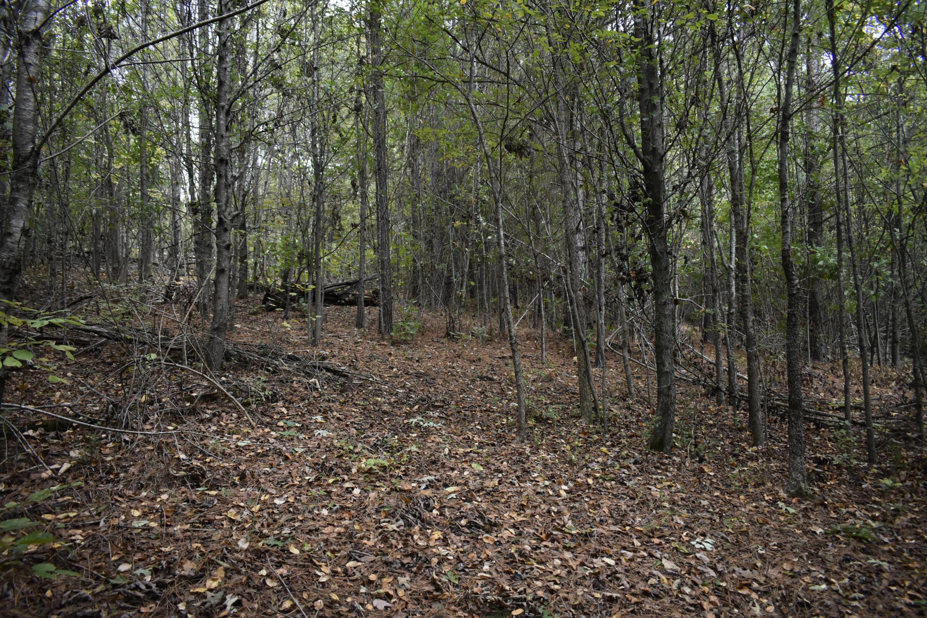 19 Turkey Run Flintstone, GA 30725 - Photo 23 of 28 _DSC0353