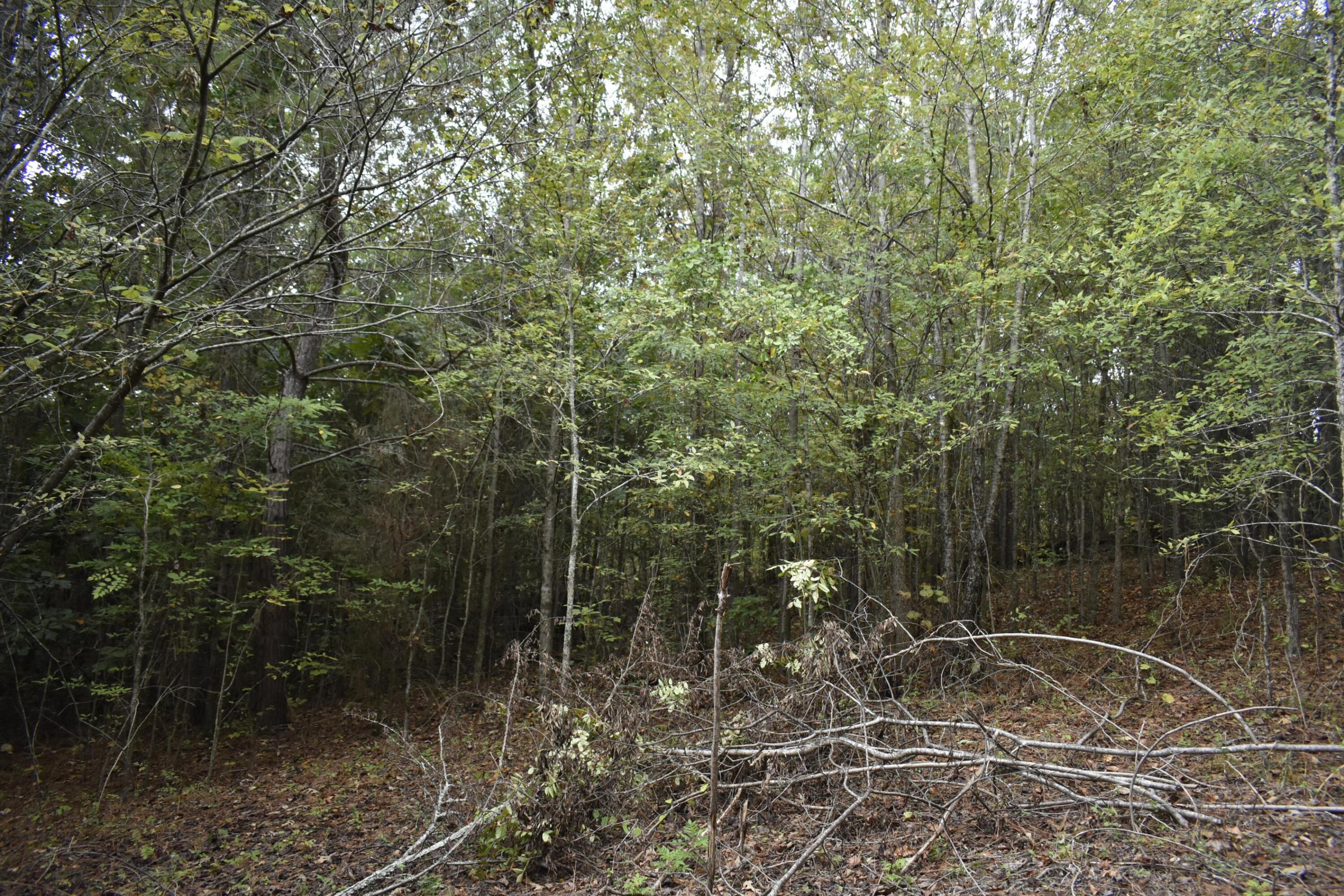 19 Turkey Run Flintstone, GA 30725 - Photo 26 of 28 _DSC0360