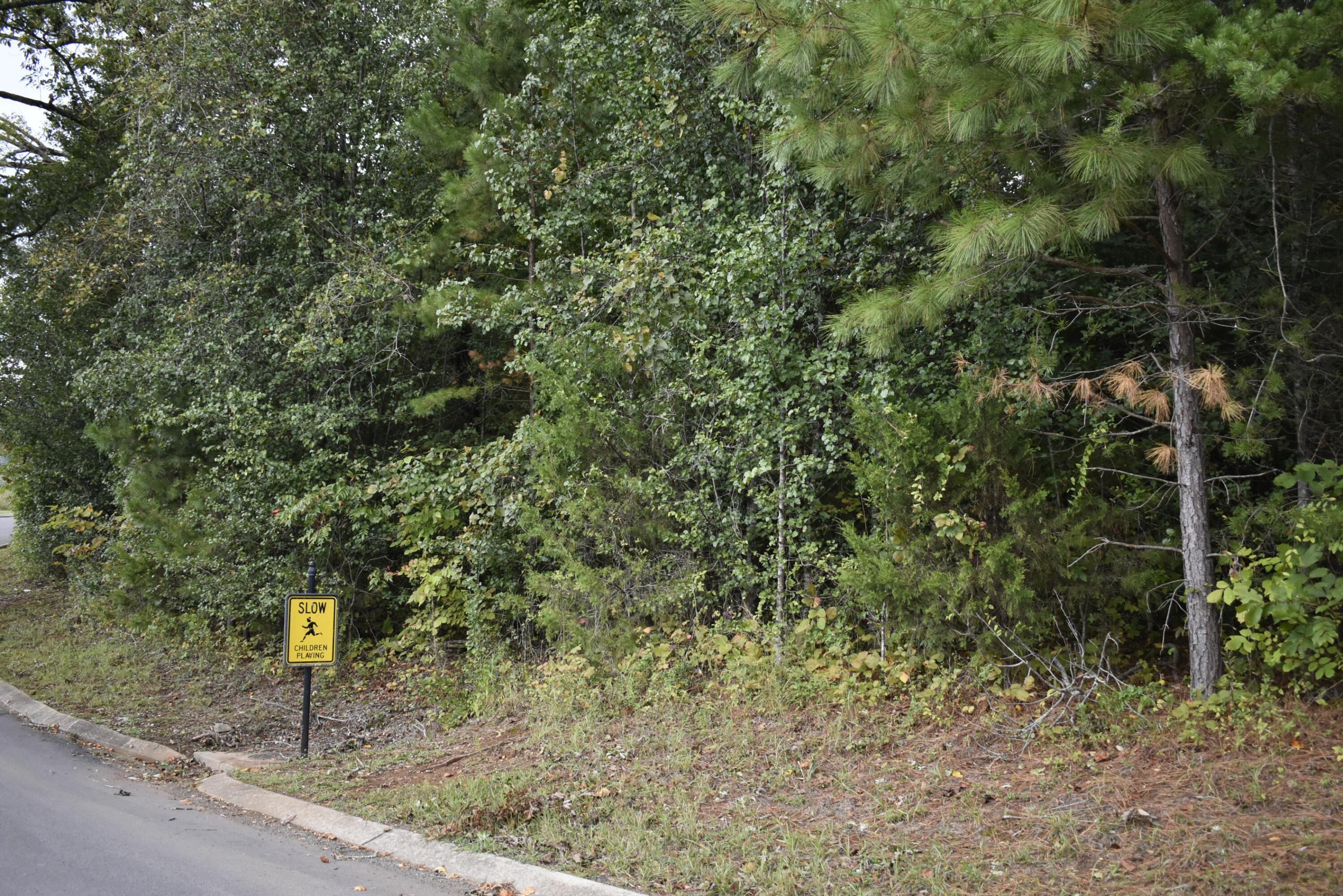 19 Turkey Run Flintstone, GA 30725 - Photo 27 of 28 _DSC0362