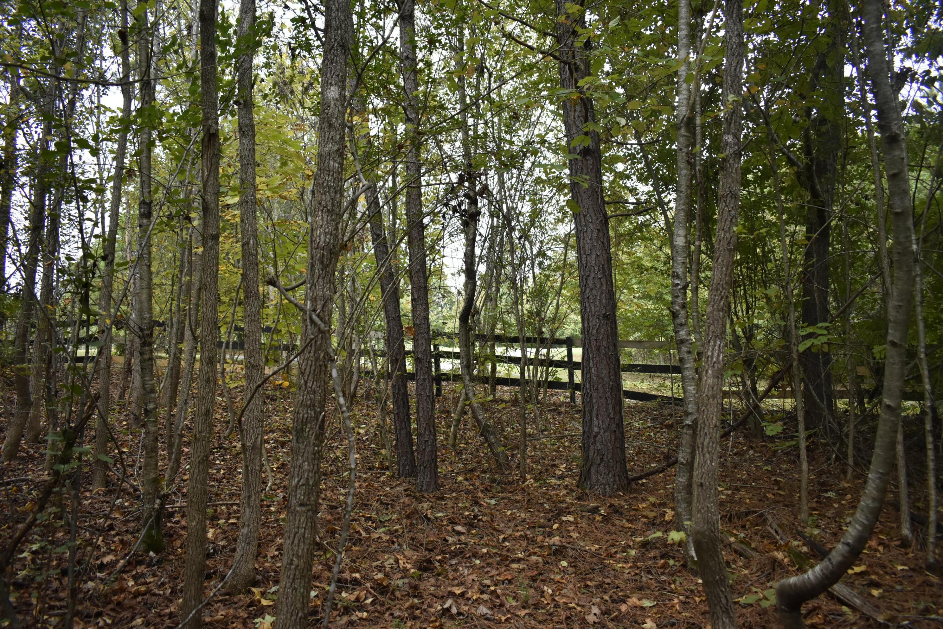 19 Turkey Run Flintstone, GA 30725 - Photo 5 of 28 _DSC0355