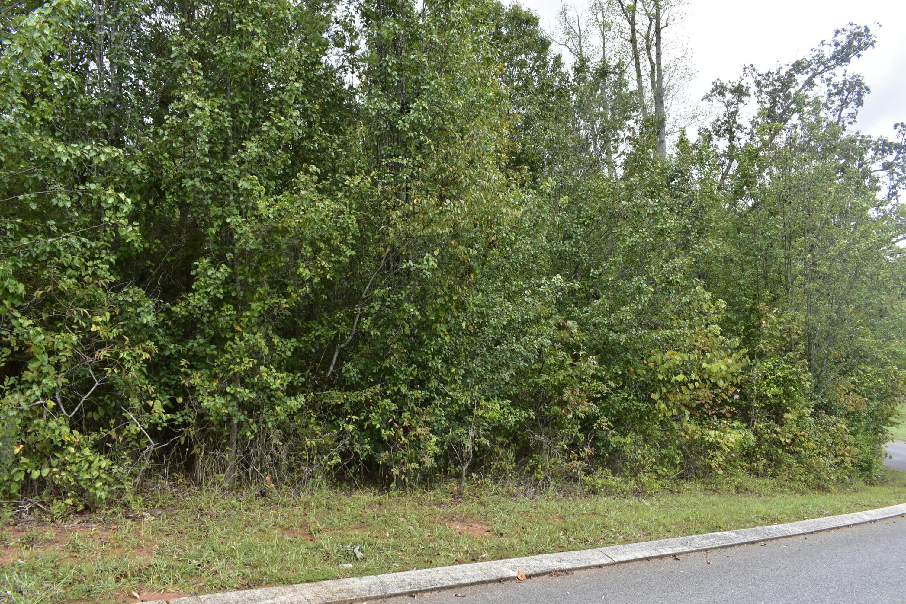 19 Turkey Run Flintstone, GA 30725 - Photo 9 of 28 _DSC0341