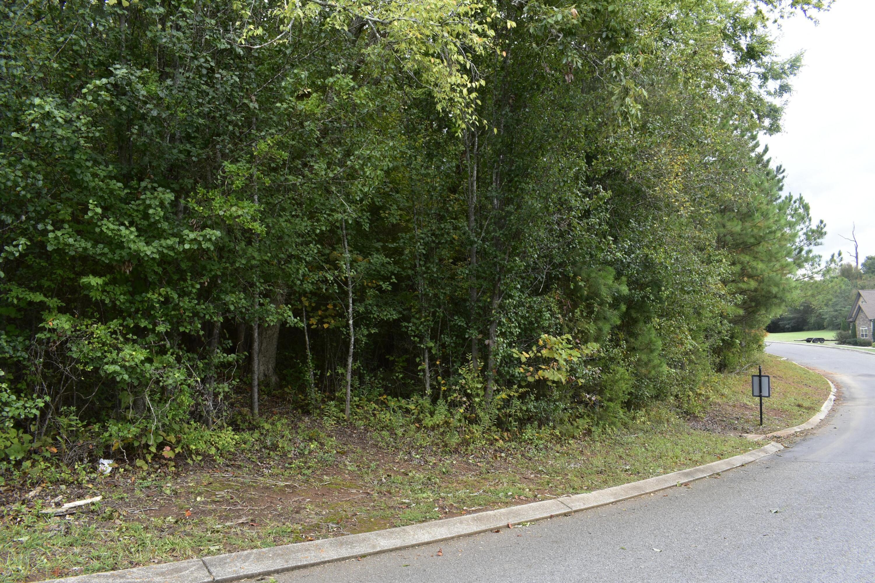 19 Turkey Run Flintstone, GA 30725 - Photo 10 of 28 _DSC0337