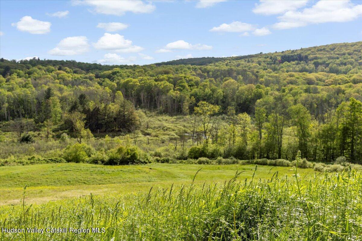 150 Harrington Drive Austerlitz, NY 12017 - Photo 76 of 82 Vistas