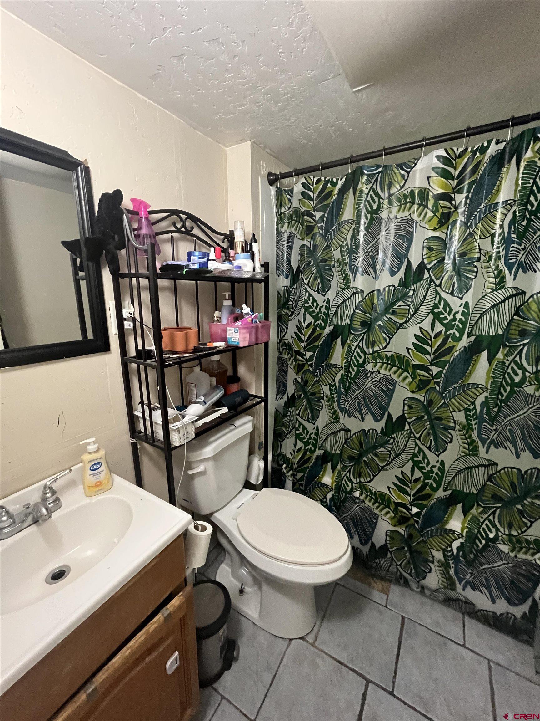 204 South Chestnut Street Cortez, CO 81321 - Photo 23 of 32 a bathroom with a toilet and a sink
