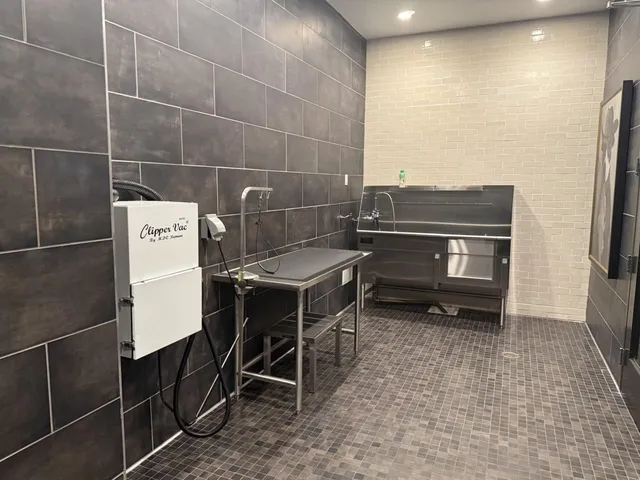 $5,200 | 3578 Rambla Place, Unit 704, Santa Clara, CA 95051