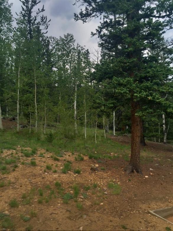 145 Long Rifle Way Como, CO 80432 - Photo 22 of 24 Gallery Image 22